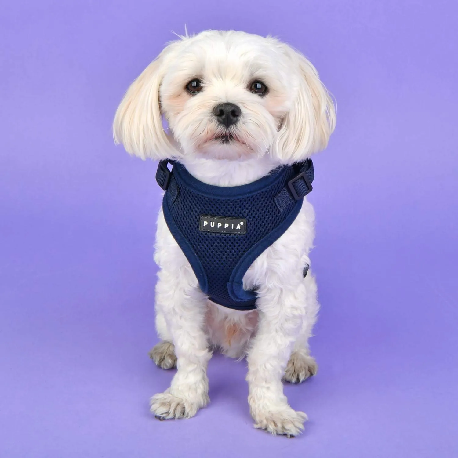 Authentic Puppia RiteFit Harness with Adjustable Neck, Navy, Small